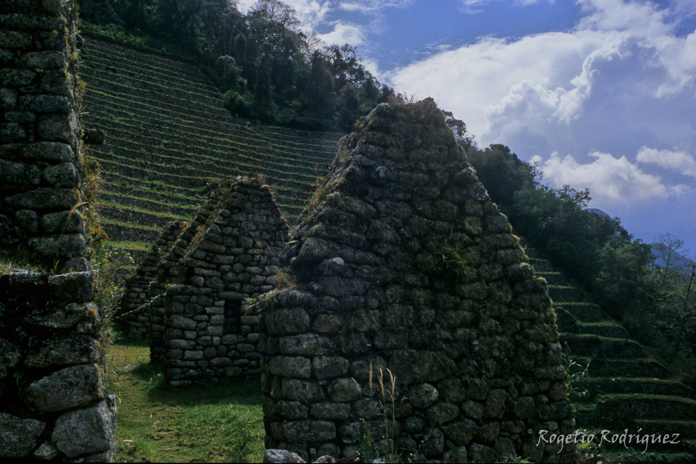 Imagen 13 de la galería de Perú